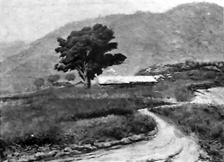 Imagem:Ib 1923 pfonseca.jpg