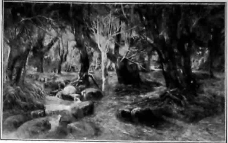 Imagem:Amattos ib 1924 08 Salao.jpg