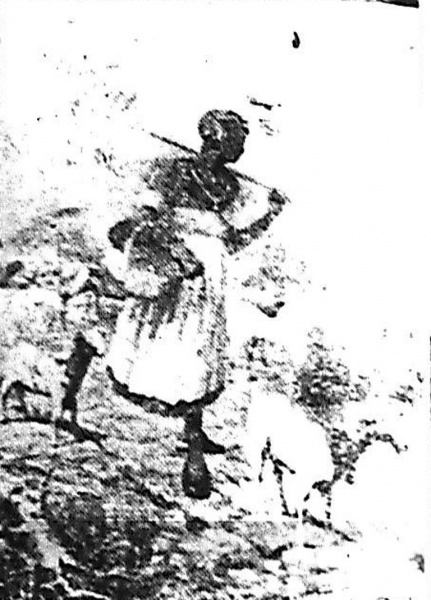 Imagem:O Globo 1928.08.11 manha no campo.jpg