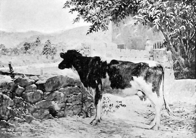 Imagem:Kosmos 1905 bc1.jpg