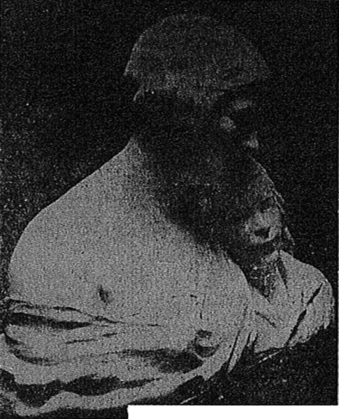 Imagem:Correio da Manha 1930.08.10 mcorrea.jpg
