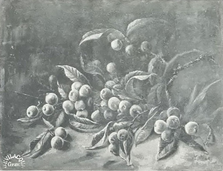 Imagem:Egba 1902-1903 Page 141.jpg